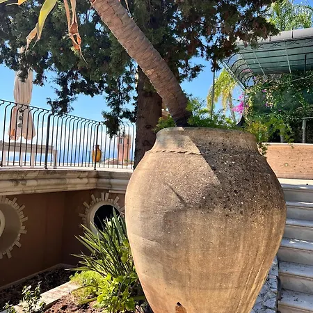 Atelier Spacious With Pool Villa